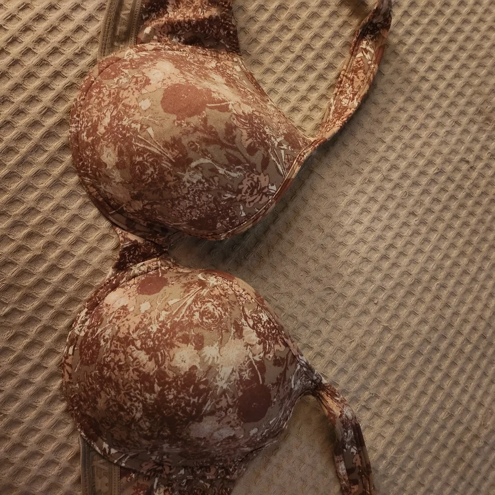 Bra - Picture 4 of 4